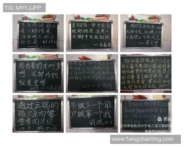 杭州排球队的成长之路：一段拼搏与团结的纪实故事