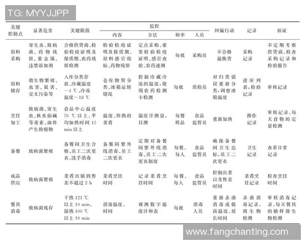 杭州排球队快攻战术解析与实战应用探讨