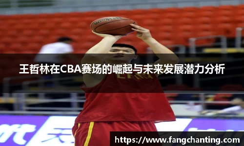 王哲林在CBA赛场的崛起与未来发展潜力分析